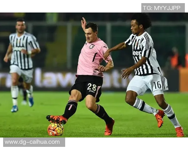 石马足球：传承与创新交织的足球文化之旅