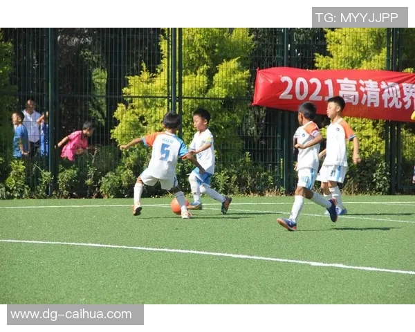 探索如何选择和维护质量好的足球提升运动表现与乐趣