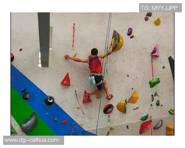 攀岩新手必看灵活性训练技巧与入门指南助你轻松上墙